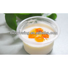 Yogurt Culture for set yogurt
